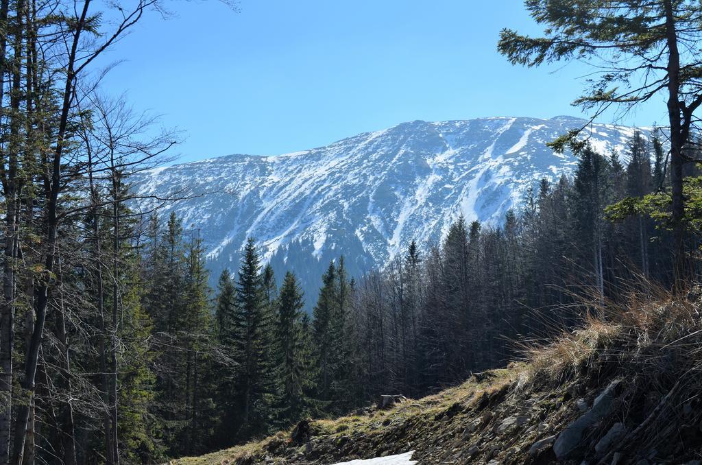 Dom Na Mosornym Groniu Villa Zawoja Luaran gambar